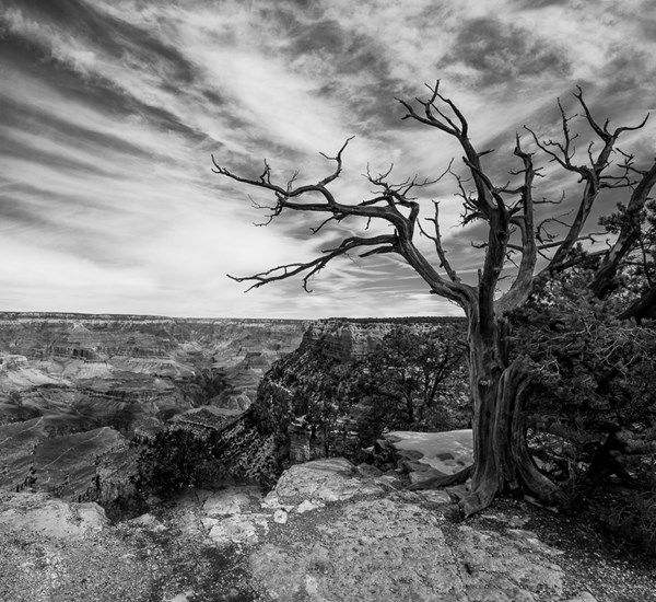 Grand Canyon B&W
